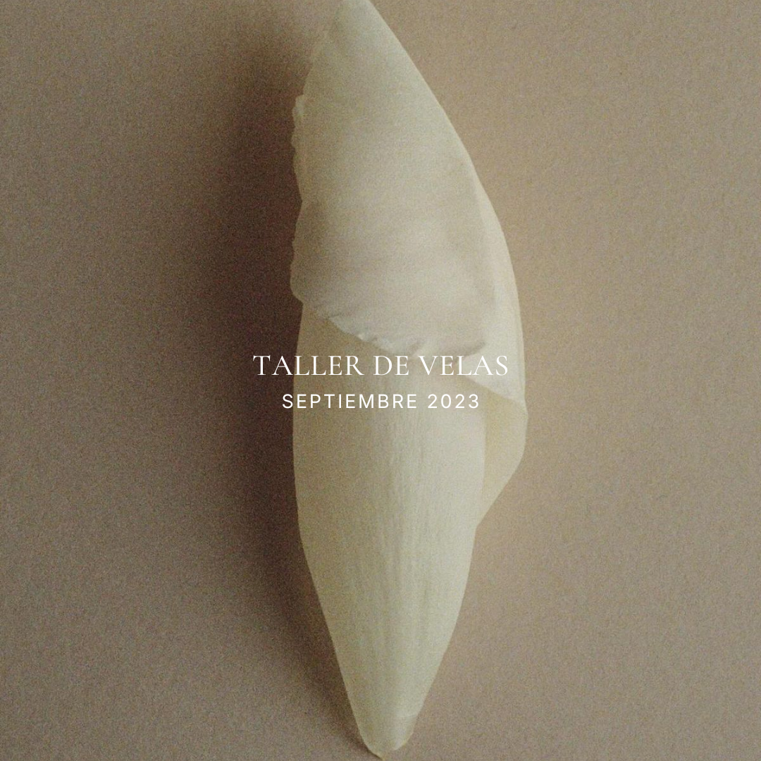 Creando Luz / Septiembre 2023