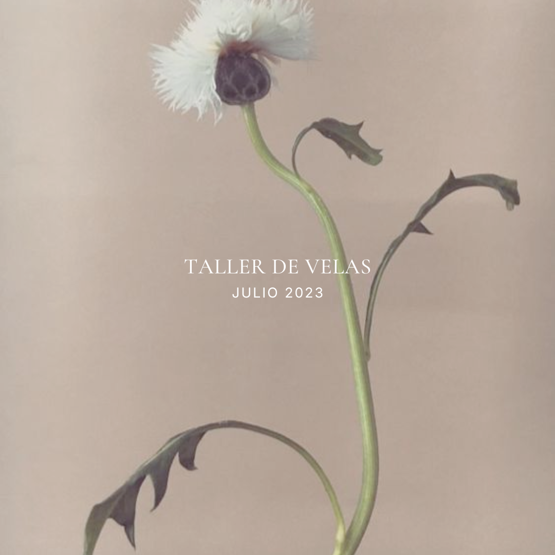 Creando Luz / Julio 2023