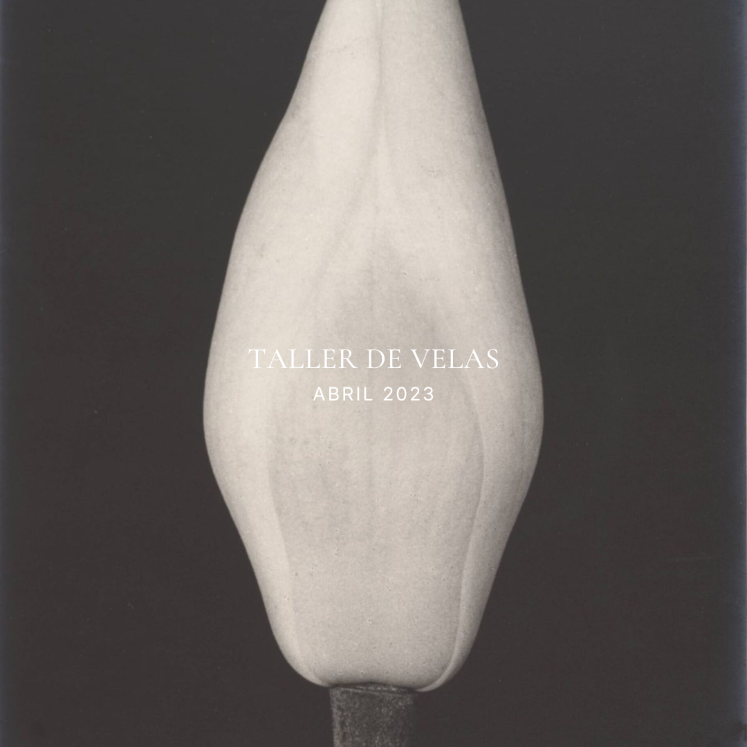 Creando Luz / Abril 2023